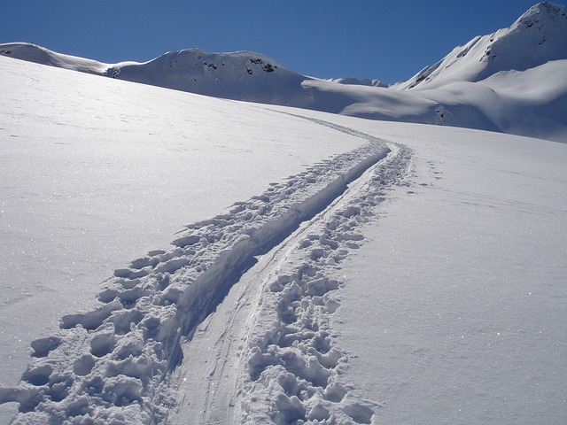 穷乡僻壤Skiiing 冬季登山 冬季运动 - 上的免费照片