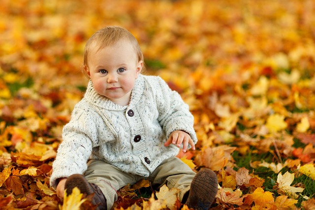 秋天 落下 男婴 - 上的免费照片