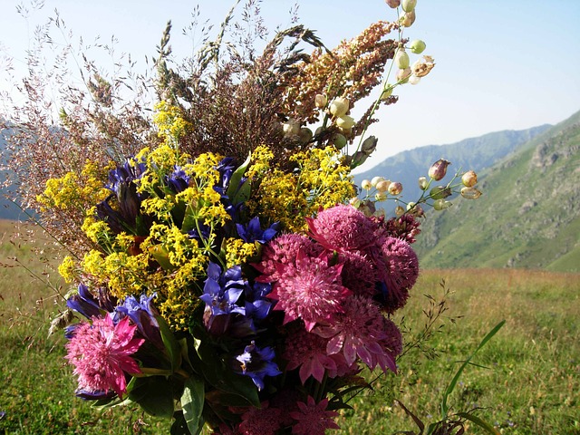 花束 一束鲜花 一束花朵 - 上的免费照片