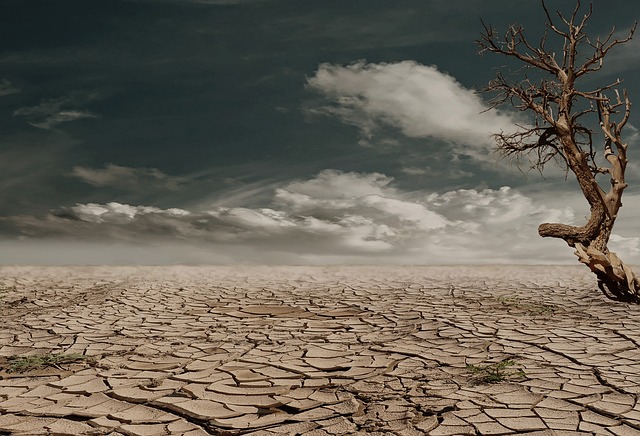 沙漠 干旱 脱水 - 上的免费照片