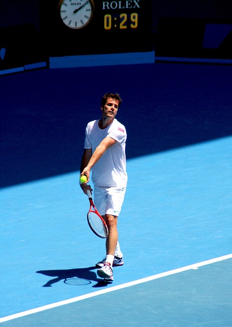 网球 汤米哈斯 2012年澳大利亚公开赛 - 上的免费照片