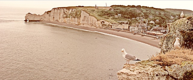 Etretat 海 法国 - 上的免费照片