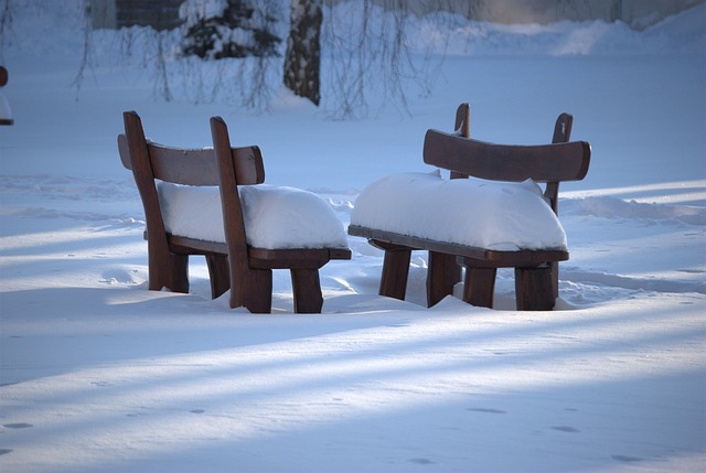 安静 冬季 雪 - 上的免费照片