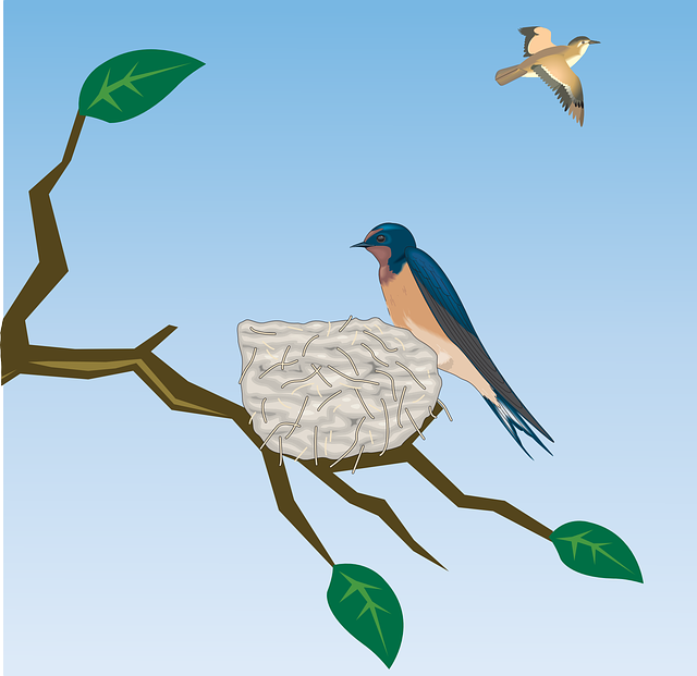 家燕 吞 鸟 - 免费矢量图形