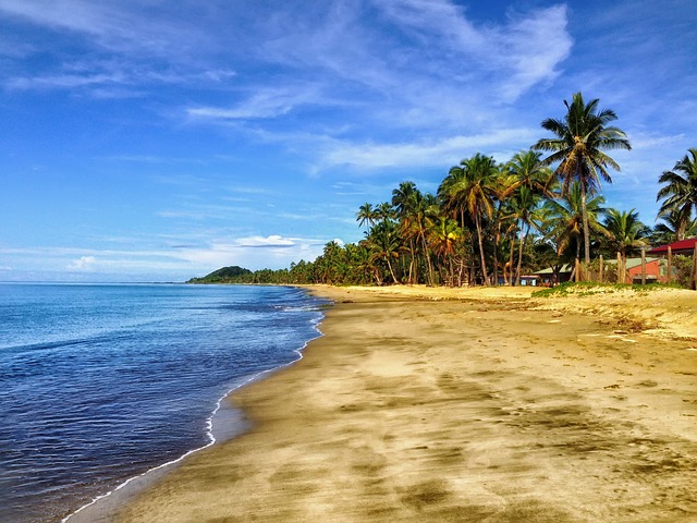 海滩 沙 棕榈树 - 上的免费照片
