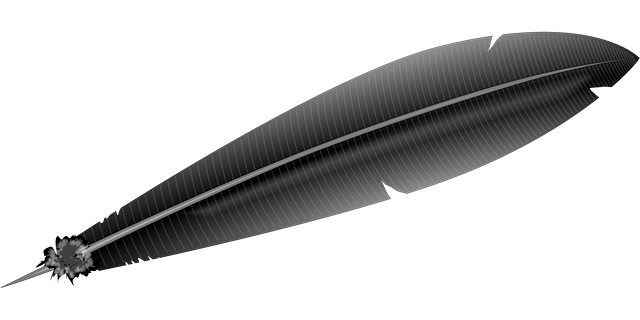 羽毛 钢笔 掠夺 - 免费矢量图形