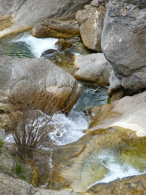 景观 自然 水 - 上的免费照片