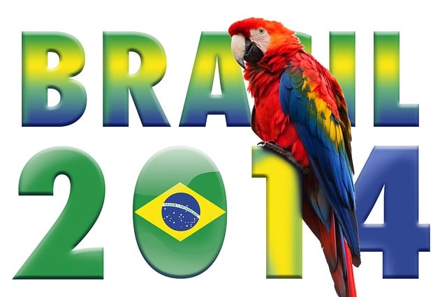 世界杯 鹦鹉 足球 2014 - 上的免费图片