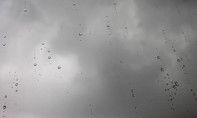 雨 雨后 一滴 - 上的免费照片