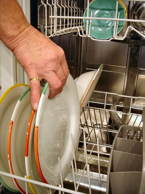 装入洗碗机 菜肴 洗碗机 - 上的免费照片