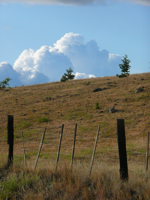 雷雨 乌云 高耸的积云 - 上的免费照片