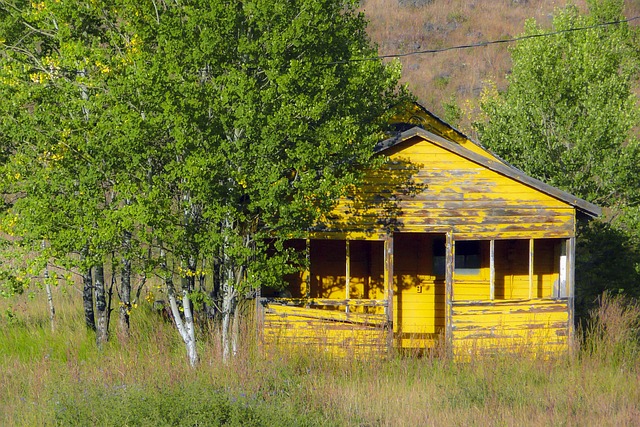 黄色 木棚 建造 - 上的免费照片