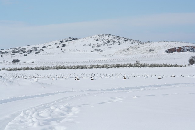景观 卡斯蒂亚 雪 - 上的免费照片
