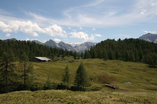 戈扎姆 高原 高山牧场 Steinernes - 上的免费照片