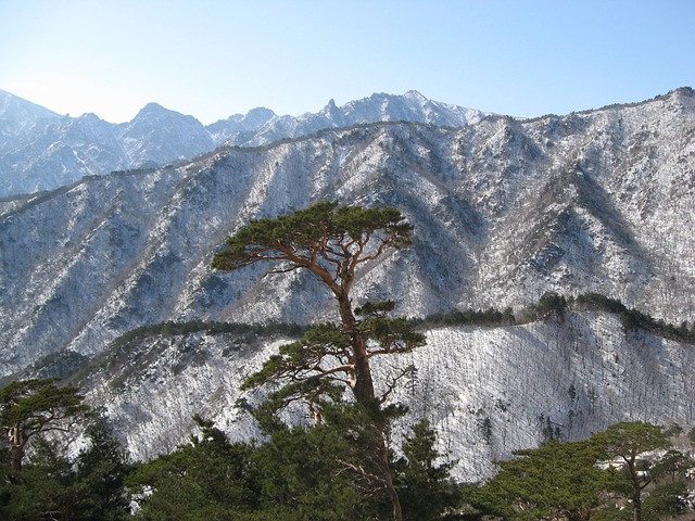 雪岳山 雪和岩石 - 上的免费照片