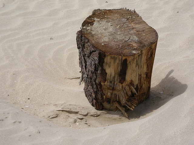 废料 杰特萨姆 海滩 - 上的免费照片