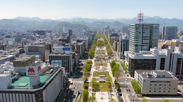 日本 札幌 全景视图 - 上的免费照片