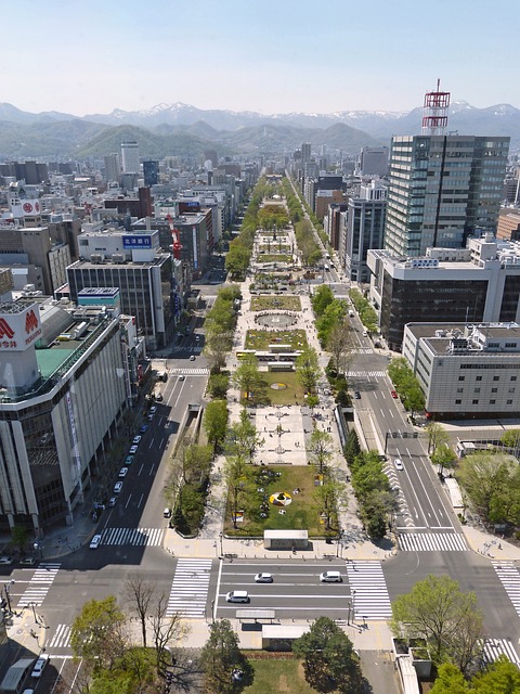 日本 札幌 城市的 - 上的免费照片