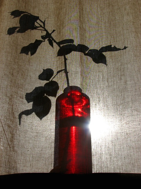 窗帘 花瓶 红色的 - 上的免费照片
