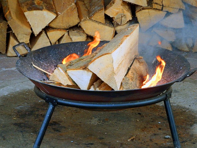 木火 火 炙烤 - 上的免费照片