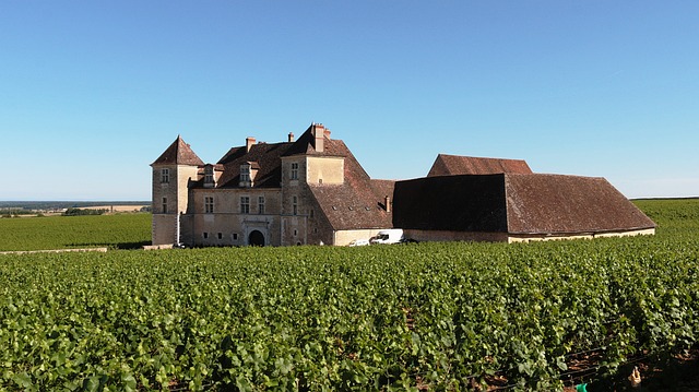 Clos De Vougeot 城堡 勃艮第 法国 - 上的免费照片