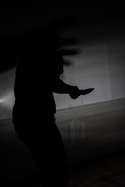 刀 谋杀 恐惧 - 上的免费照片