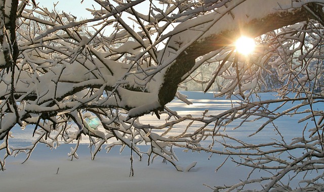 雪 冬天 下雪的 - 上的免费照片