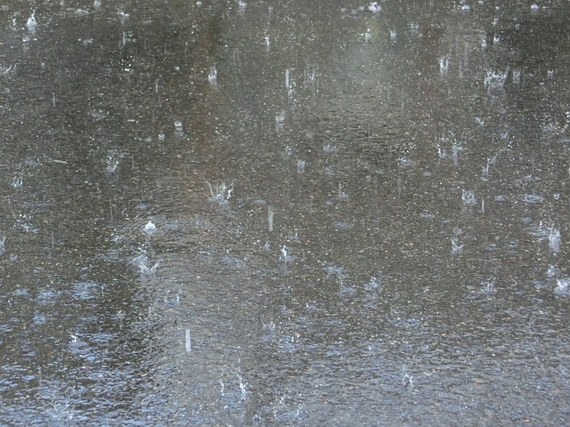 泼雨 花洒 雨 - 上的免费照片