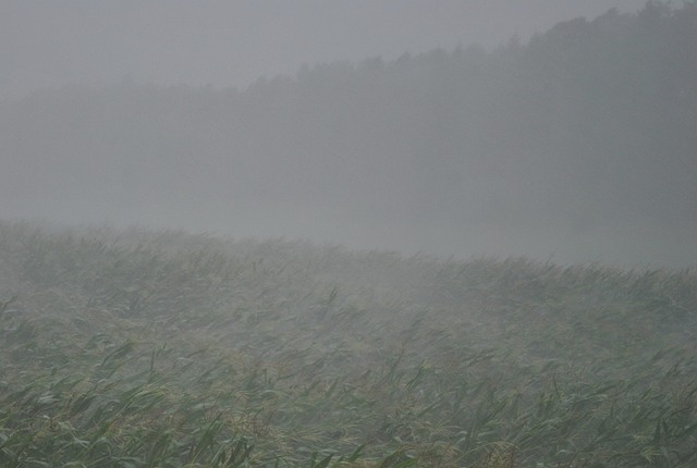 雷雨 倾盆大雨 风暴 - 上的免费照片