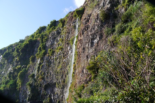 马德拉 岩石 水 - 上的免费照片