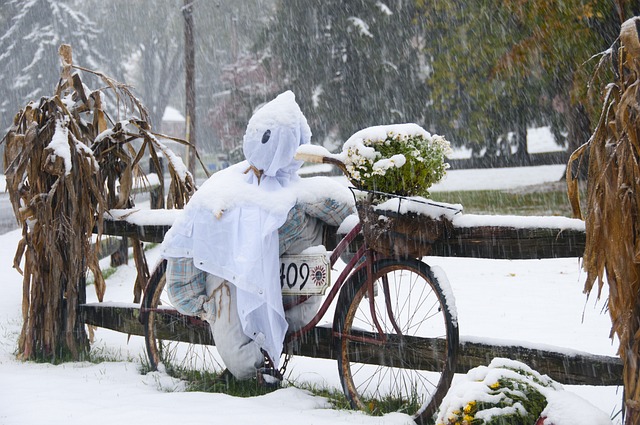 稻草人 冬天 雪 - 上的免费照片