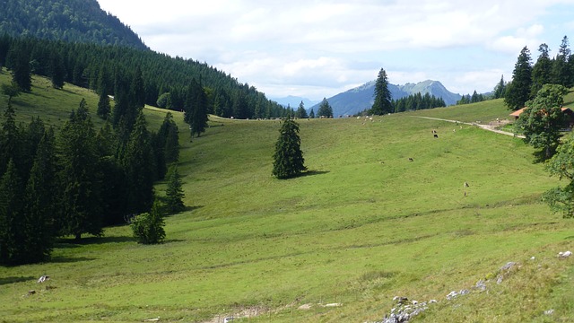 巴伐利亚 阿尔高 B?rmoos-Alpe - 上的免费照片