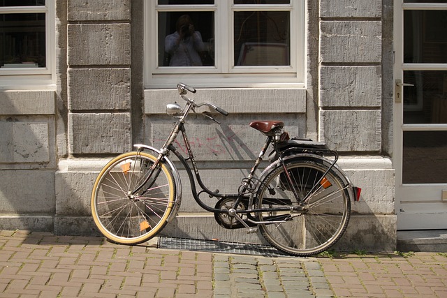 自行车 车轮 女士自行车 - 上的免费照片