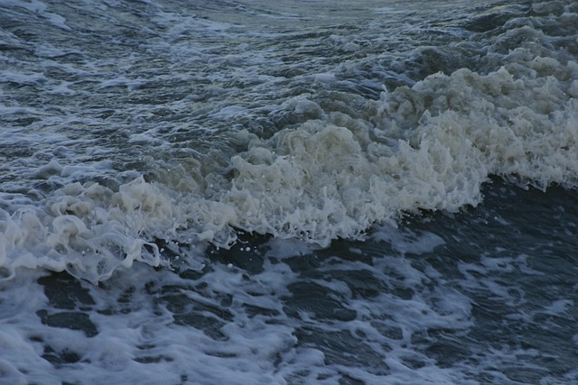 水 海 假日 - 上的免费照片