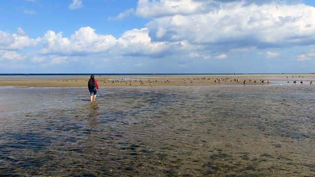 海滩 在沙滩散步 海滩远足 - 上的免费照片