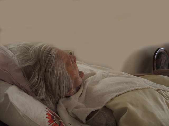 女士 老的 床 - 上的免费照片