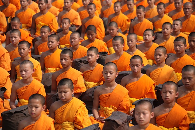 佛教徒 僧侣 打坐 - 上的免费照片