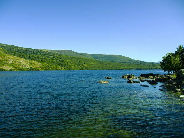 湖 萨纳夫里亚 水 - 上的免费照片