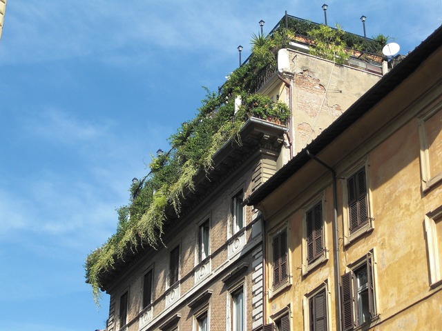 屋顶花园 罗马 意大利 - 上的免费照片