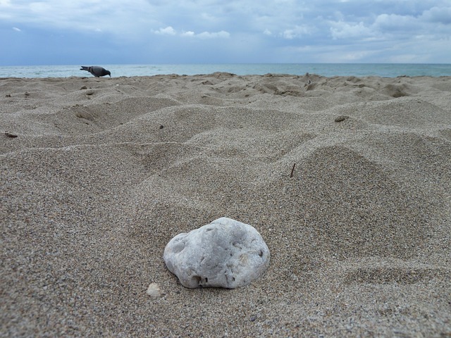 石头 海滩 哥斯达黎加 - 上的免费照片