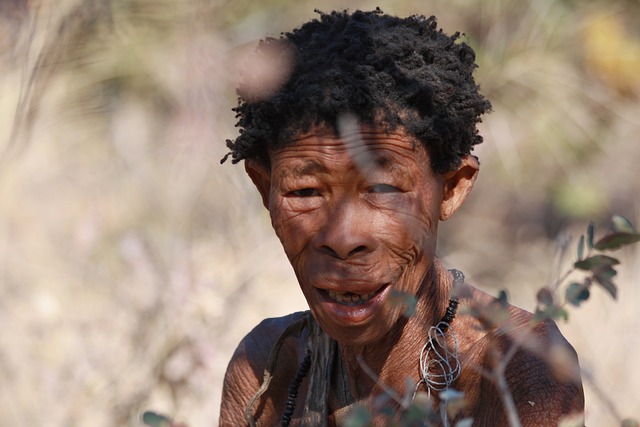 非洲人 布须曼人 土著 - 上的免费照片