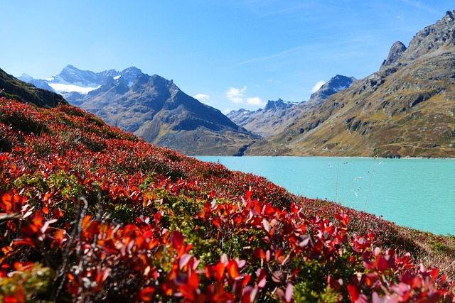 水库 坝墙 Silvretta - 上的免费照片