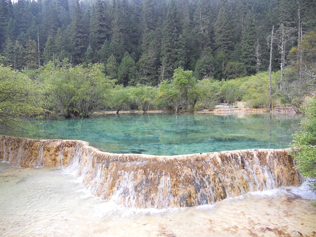 黄龙 山水 树 - 上的免费照片