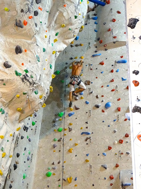 爬 攀岩墙 运动的 - 上的免费照片