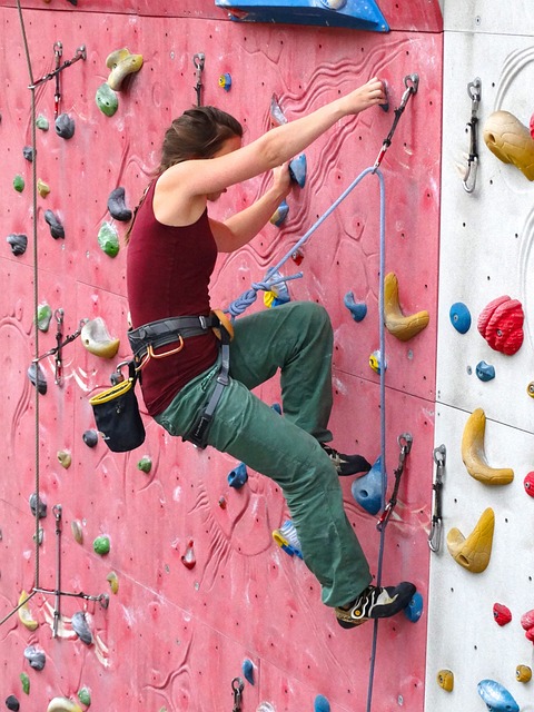 登山者 女士 手臂力量 - 上的免费照片