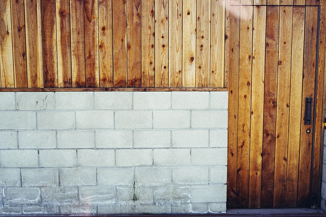 墙 木制的 门 - 上的免费照片