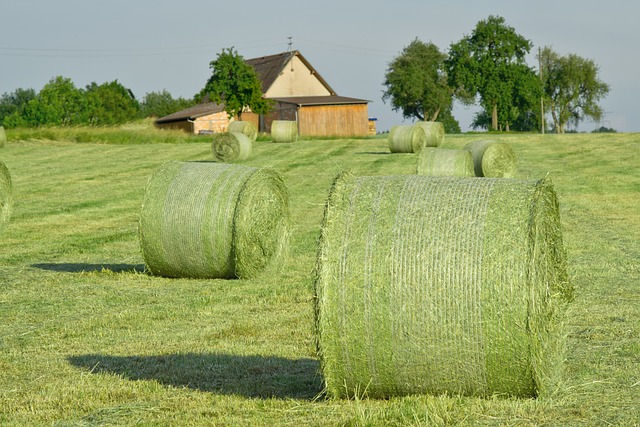 干草捆 稻草 干草 - 上的免费照片