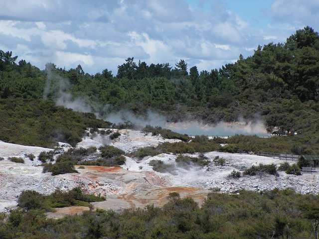 热的 罗托鲁瓦（Rotorua） 新的 - 上的免费照片