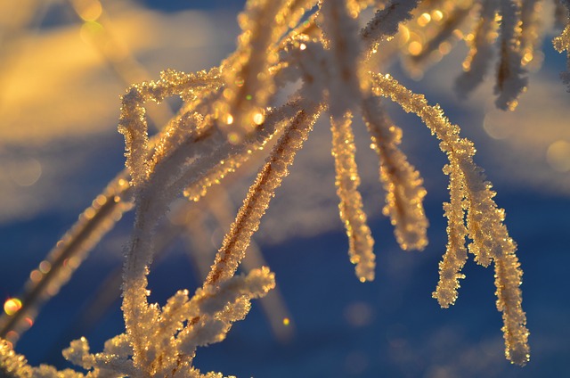 弗罗斯特 凉爽的 雪 - 上的免费照片