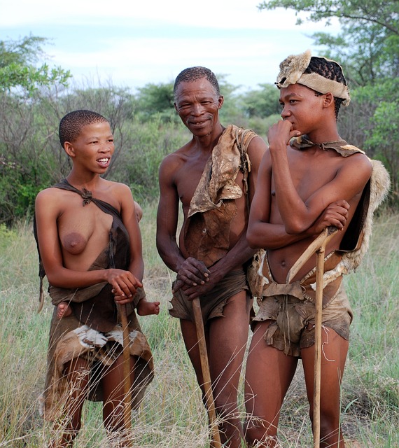 布须曼人 原住民 猎人采集者 - 上的免费照片